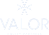 Valor Atreides AI Fund