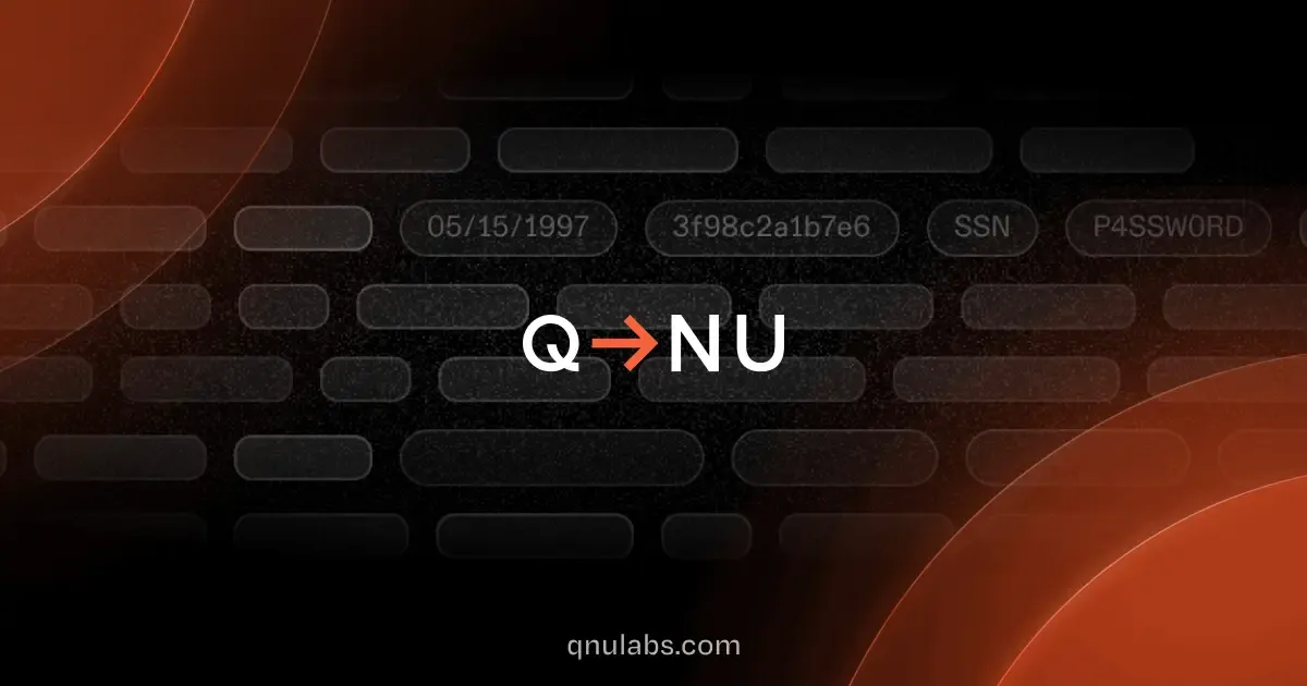 QNu Labs company brand graphic